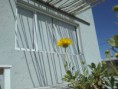 /album/fotogaleria/las-conchi1-jpg/